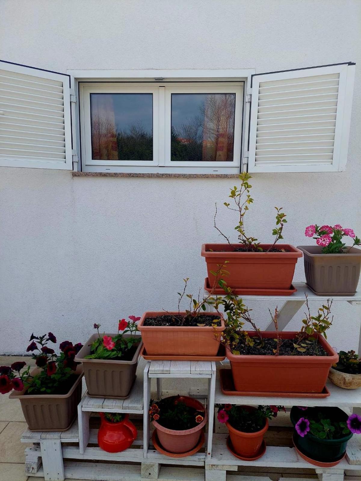 Rooms Hodanic Krk Town Room photo